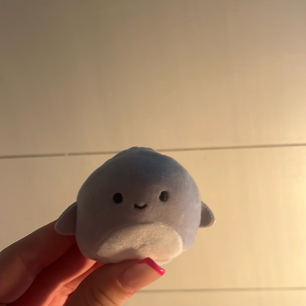 Shark squish Ville